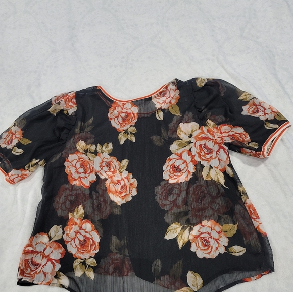 Floral Women's Black Floral Sheer Puff Sleeve Ringer Top By A New Day Sz. 1X - Picture 11 of 12